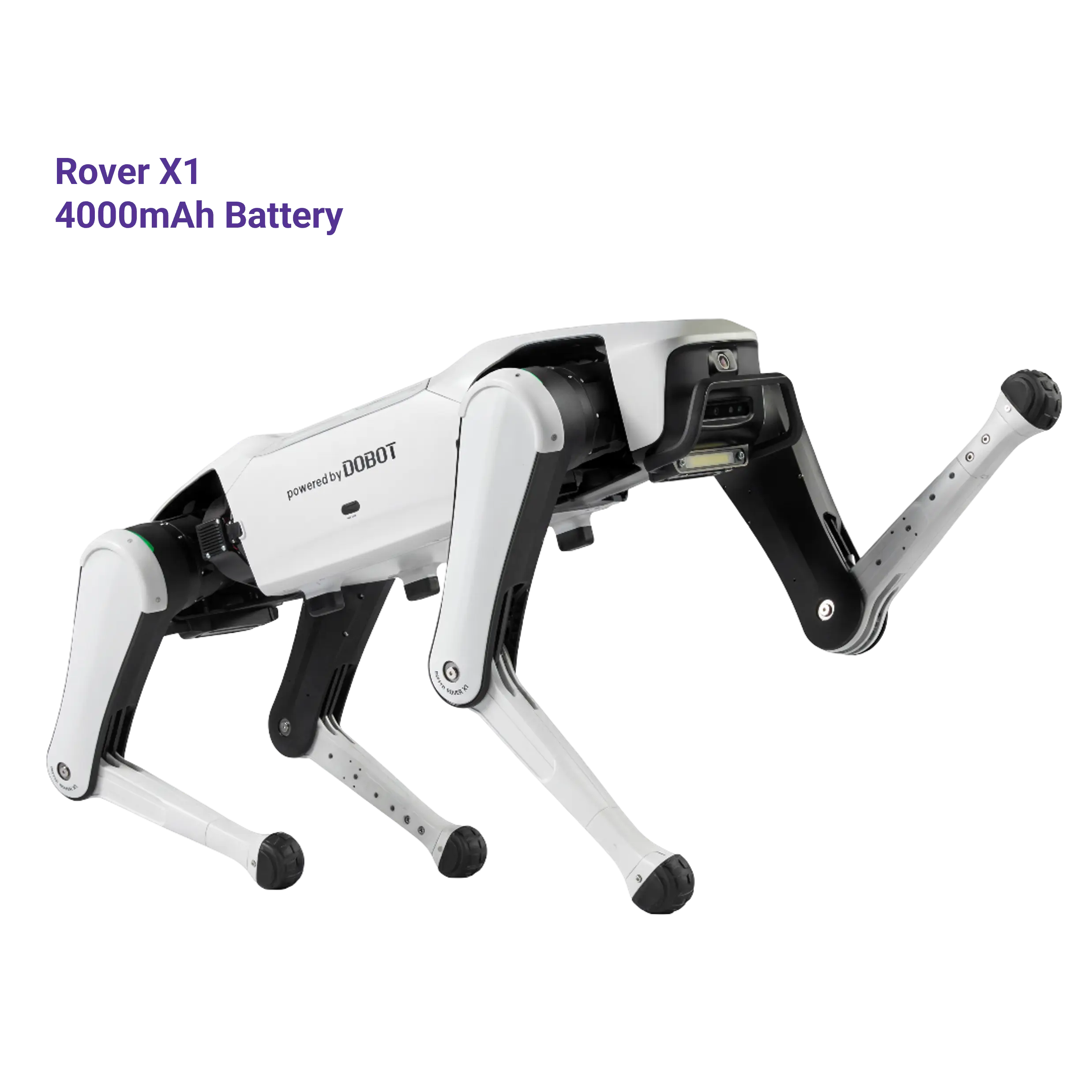Série Dobot Rover X1 | Chien robotique